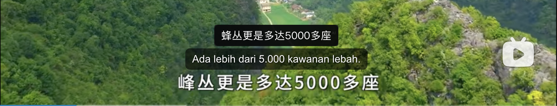 BiliSub Dual Subtitle Preview